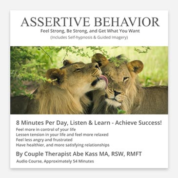 assertive behavior by family therapist abe kass